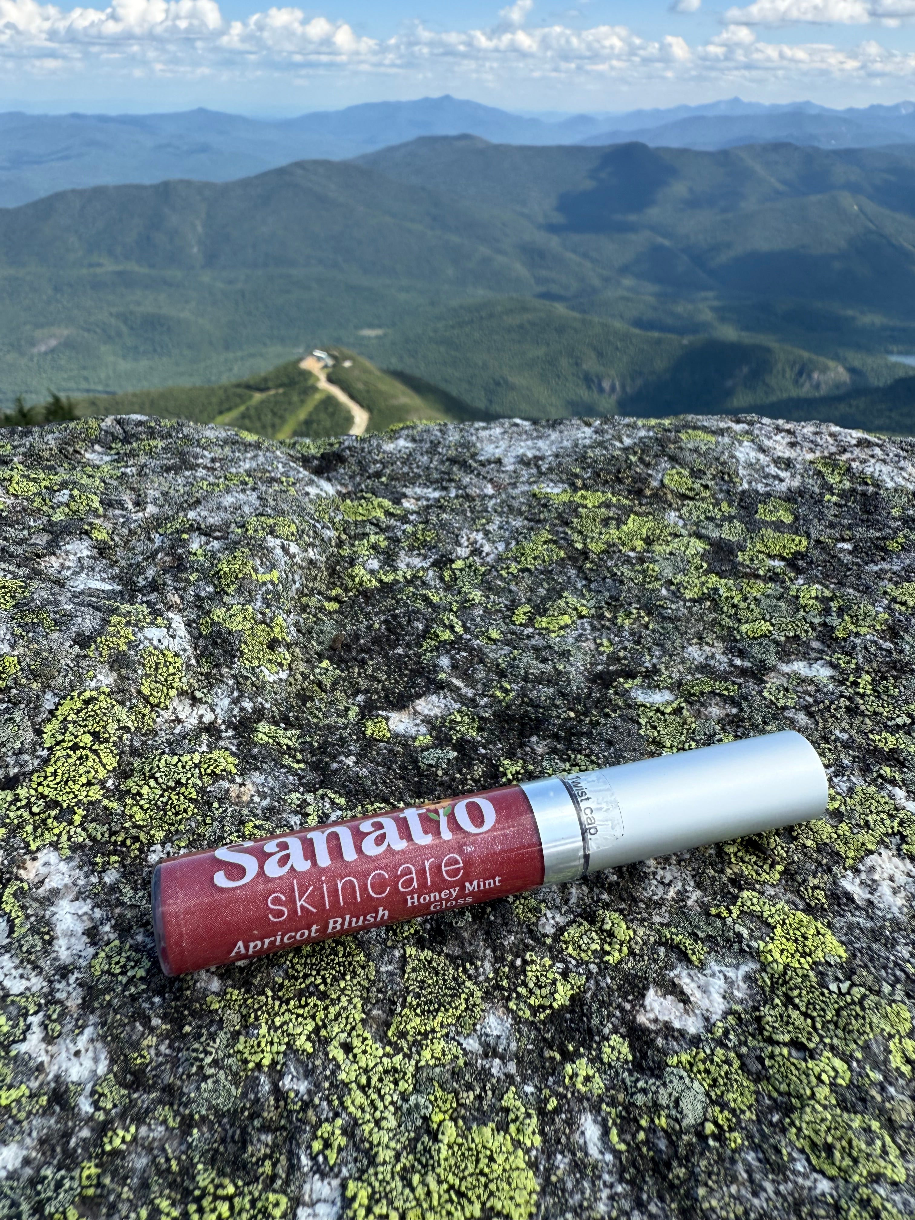 Tinted Wildflower Honey Lip Gloss