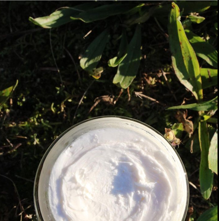 Whipped Shea Body Butter