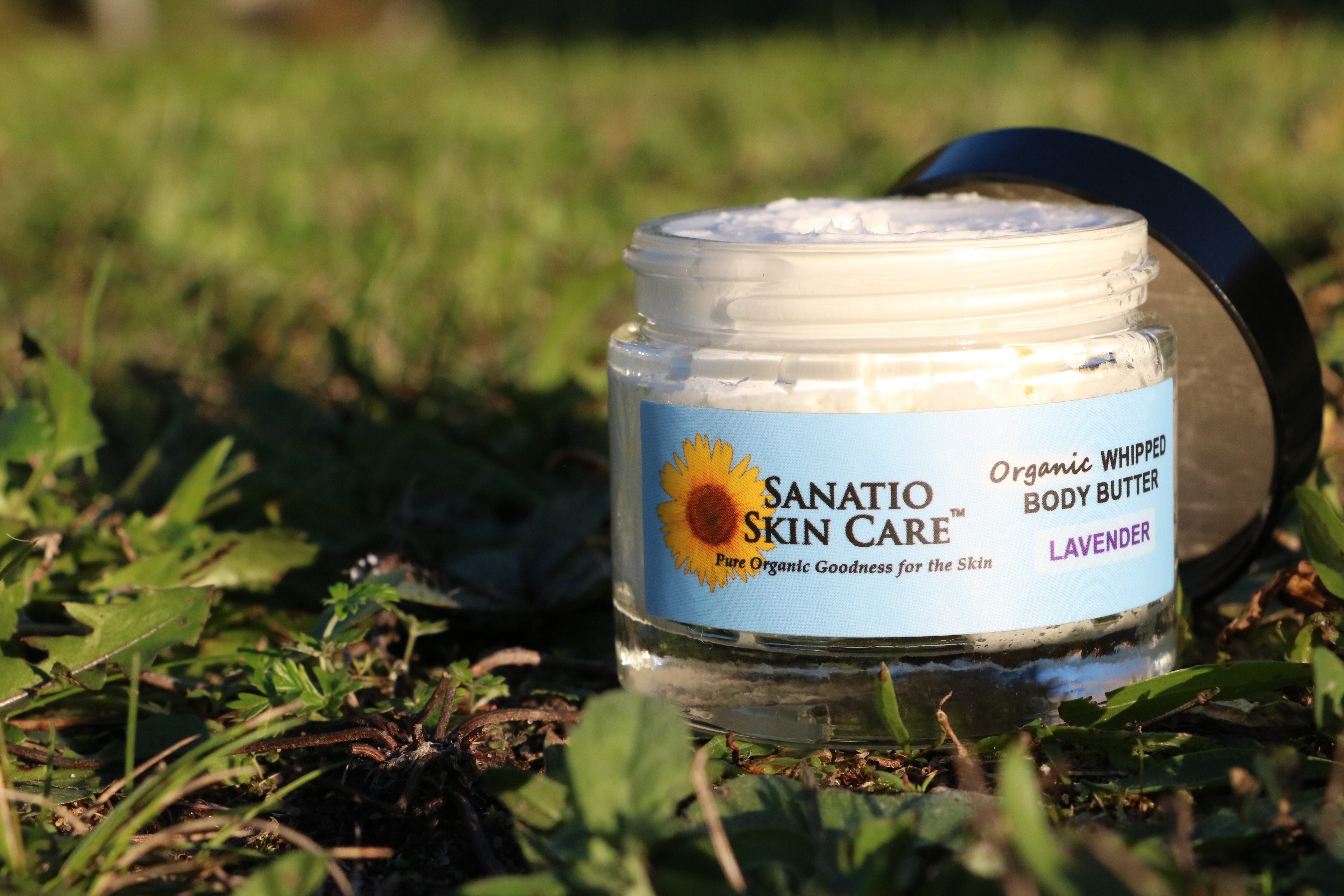 Whipped Shea Body Butter